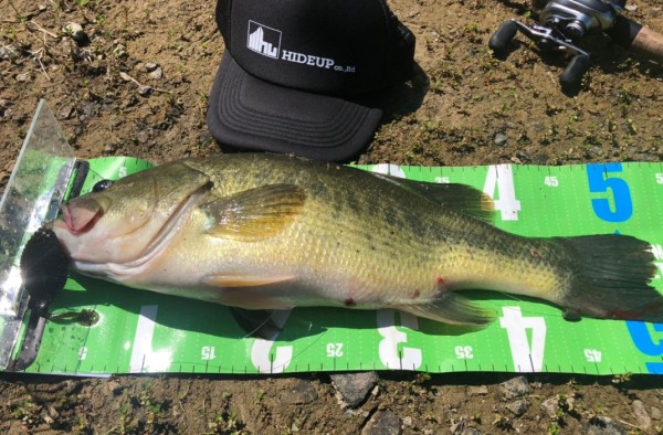 hideup 久次米良信 ブログ写真 2019/09/18