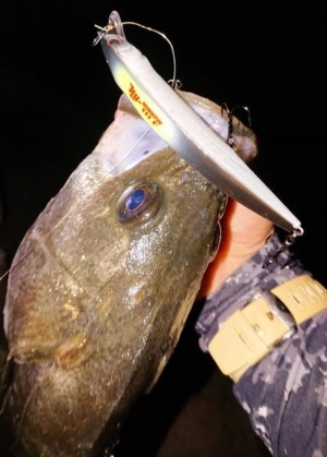 hideup 久次米良信 ブログ写真 2019/09/18