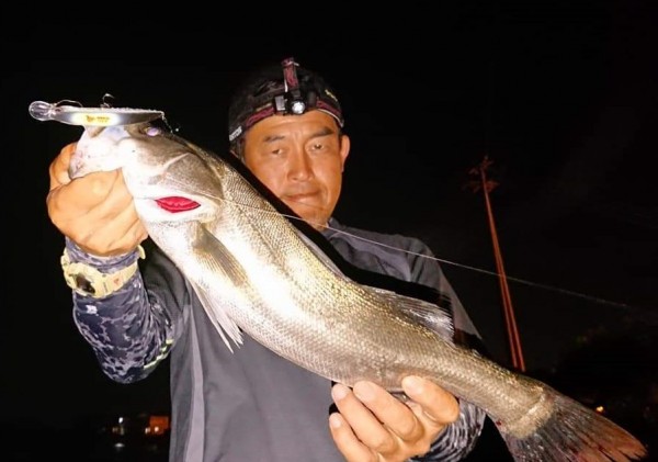 hideup 久次米良信 ブログ写真 2019/09/18