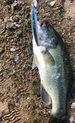 hideup 久次米良信 ブログ写真 2019/09/18