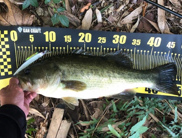 hideup 久次米良信 ブログ写真 2019/09/18