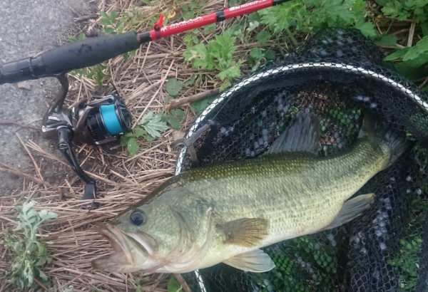 hideup 久次米良信 ブログ写真 2019/09/20