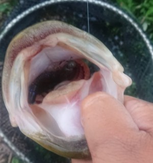 hideup 久次米良信 ブログ写真 2019/09/20