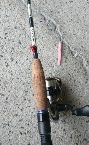 hideup 久次米良信 ブログ写真 2019/10/01