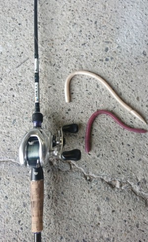 hideup 久次米良信 ブログ写真 2019/10/01