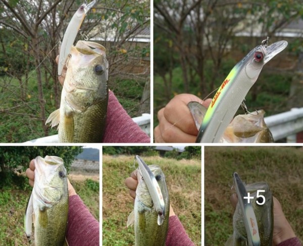 hideup 久次米良信 ブログ写真 2019/10/03