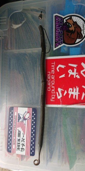 hideup 久次米良信 ブログ写真 2019/10/07