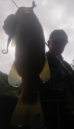 hideup 久次米良信 ブログ写真 2019/10/07