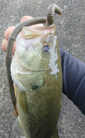 hideup 久次米良信 ブログ写真 2019/10/07