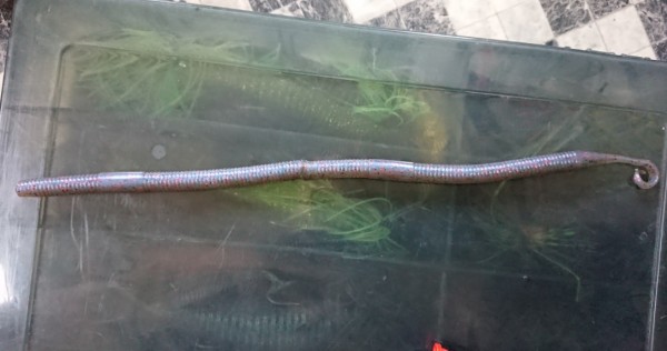 hideup 久次米良信 ブログ写真 2019/10/09