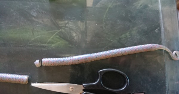 hideup 久次米良信 ブログ写真 2019/10/09