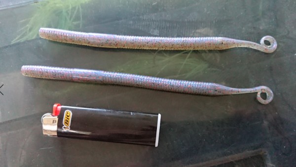 hideup 久次米良信 ブログ写真 2019/10/09