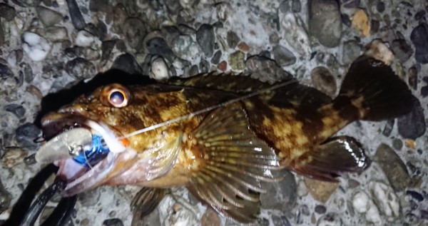 hideup 久次米良信 ブログ写真 2019/10/10