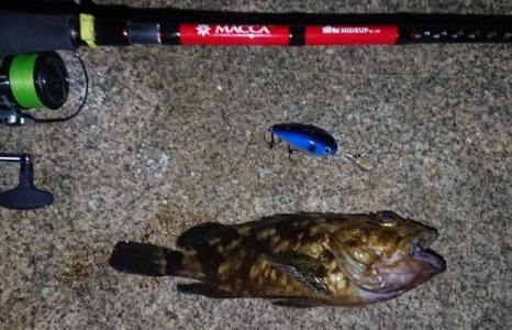 hideup 久次米良信 ブログ写真 2019/10/10