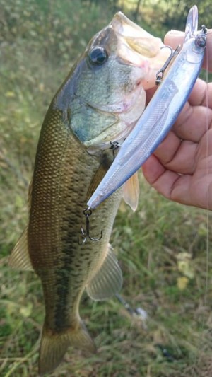 hideup 久次米良信 ブログ写真 2019/10/15