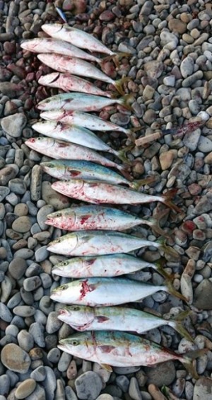 hideup 久次米良信 ブログ写真 2019/10/17