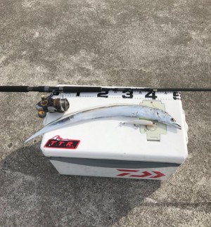 hideup 久次米良信 ブログ写真 2019/10/22