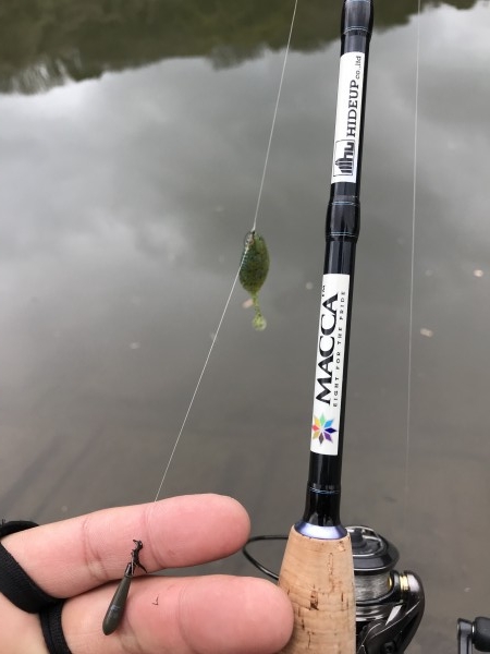 hideup 松本泰明 ブログ写真 2018/01/05