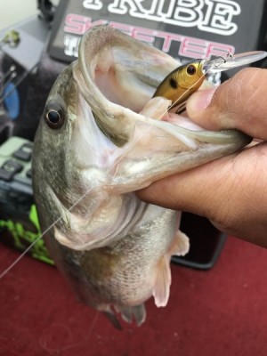 hideup 松本泰明 ブログ写真 2018/01/09