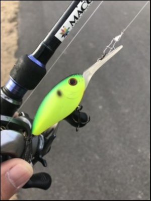 hideup 松本泰明 ブログ写真 2018/01/19