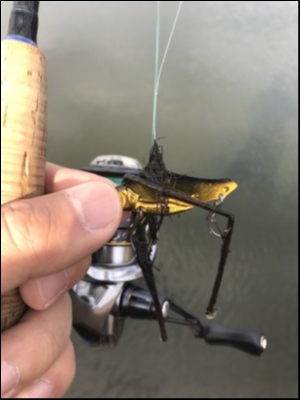 hideup 松本泰明 ブログ写真 2018/01/19