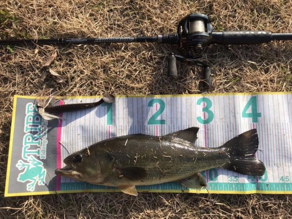 hideup 松本泰明 ブログ写真 2018/01/22