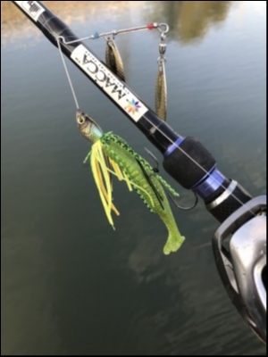 hideup 松本泰明 ブログ写真 2018/03/15