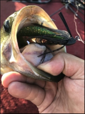 hideup 松本泰明 ブログ写真 2018/03/21