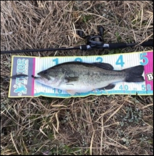 hideup 松本泰明 ブログ写真 2018/03/25