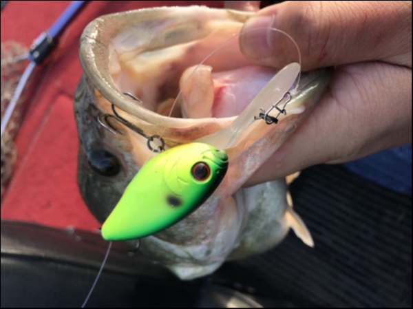 hideup 松本泰明 ブログ写真 2018/04/01