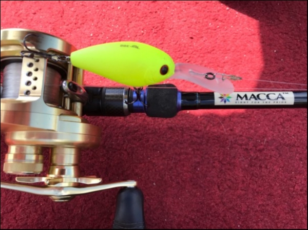 hideup 松本泰明 ブログ写真 2018/04/09