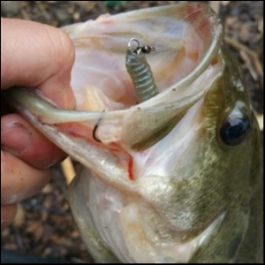 hideup 松本泰明 ブログ写真 2018/04/10