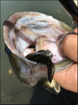 hideup 松本泰明 ブログ写真 2018/04/13