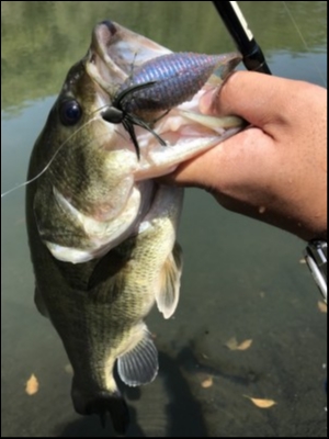 hideup 松本泰明 ブログ写真 2018/04/13