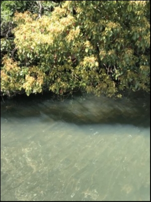 hideup 松本泰明 ブログ写真 2018/04/13