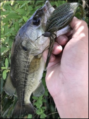 hideup 松本泰明 ブログ写真 2018/04/20