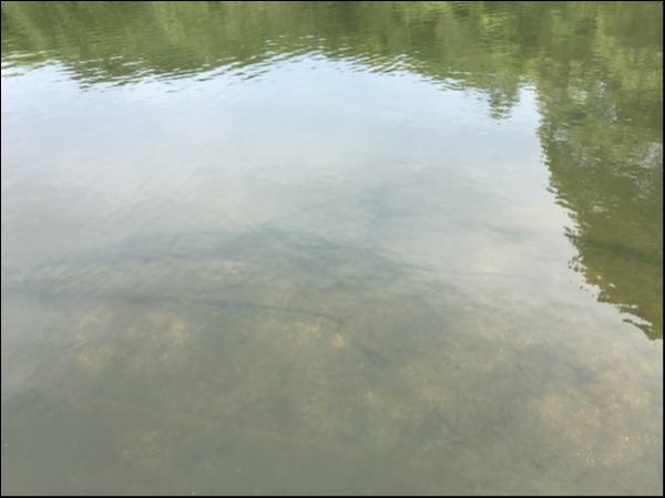 hideup 松本泰明 ブログ写真 2018/04/26