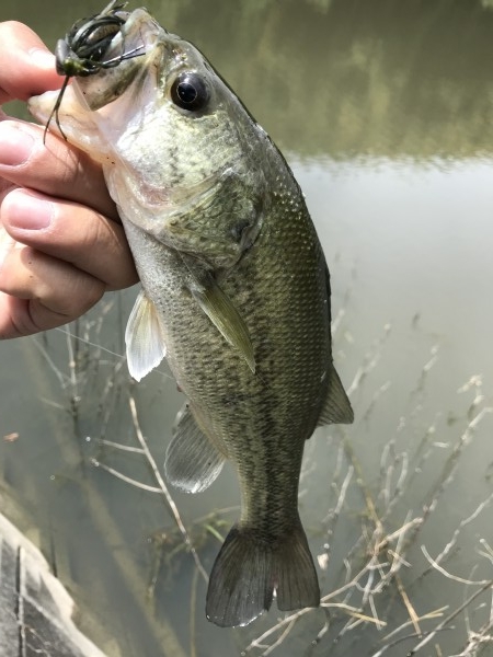 hideup 松本泰明 ブログ写真 2018/04/26