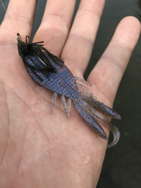 hideup 松本泰明 ブログ写真 2018/04/26