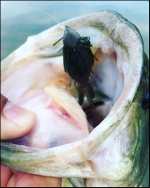 hideup 松本泰明 ブログ写真 2018/04/26