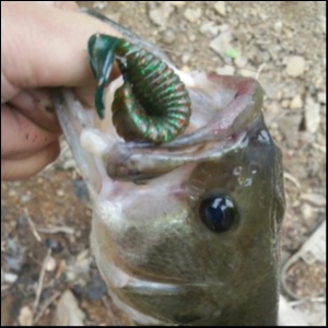 hideup 松本泰明 ブログ写真 2018/04/27