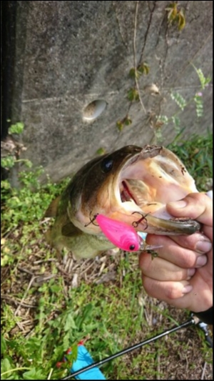 hideup 松本泰明 ブログ写真 2018/04/27