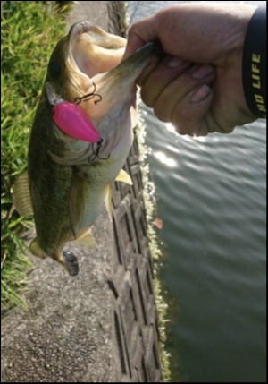 hideup 松本泰明 ブログ写真 2018/04/27