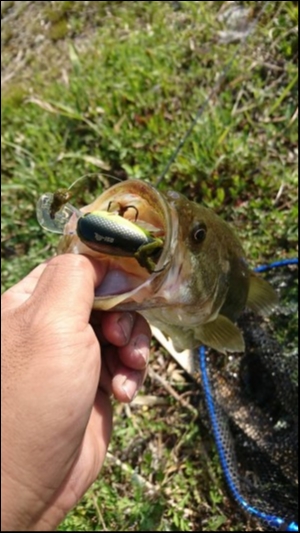 hideup 松本泰明 ブログ写真 2018/04/27