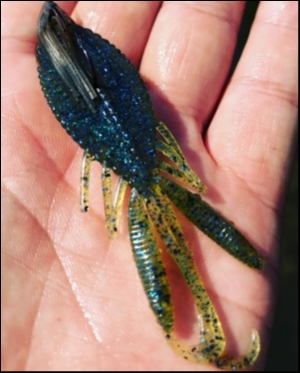 hideup 松本泰明 ブログ写真 2018/05/02