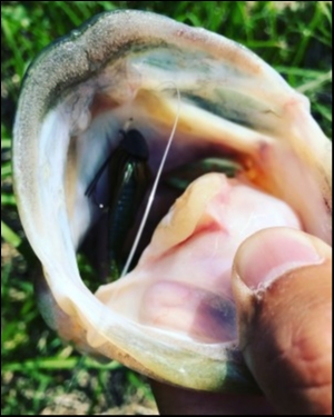 hideup 松本泰明 ブログ写真 2018/05/02