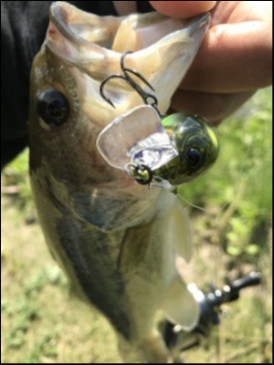 hideup 松本泰明 ブログ写真 2018/05/04