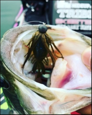 hideup 松本泰明 ブログ写真 2018/05/08