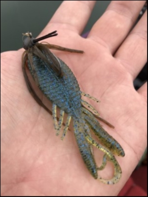 hideup 松本泰明 ブログ写真 2018/05/08