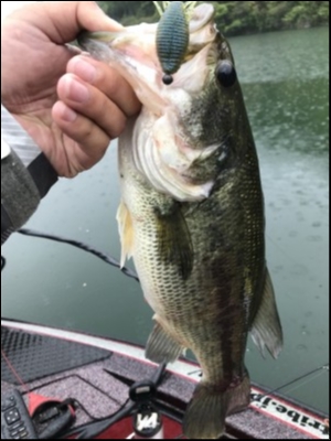 hideup 松本泰明 ブログ写真 2018/05/08